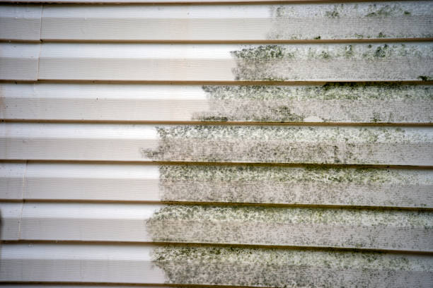 Best Furniture Removal  in Seven Fields, PA