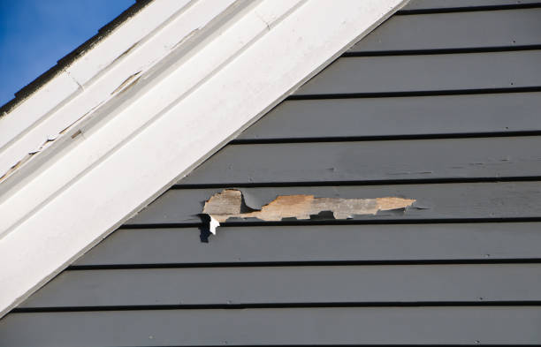 Best Hoarding Cleanup  in Seven Fields, PA